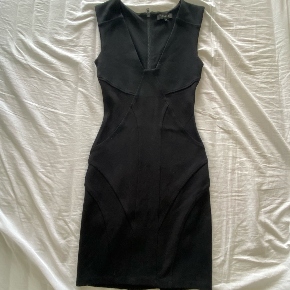 Aritzia Talula Bodycon Dress